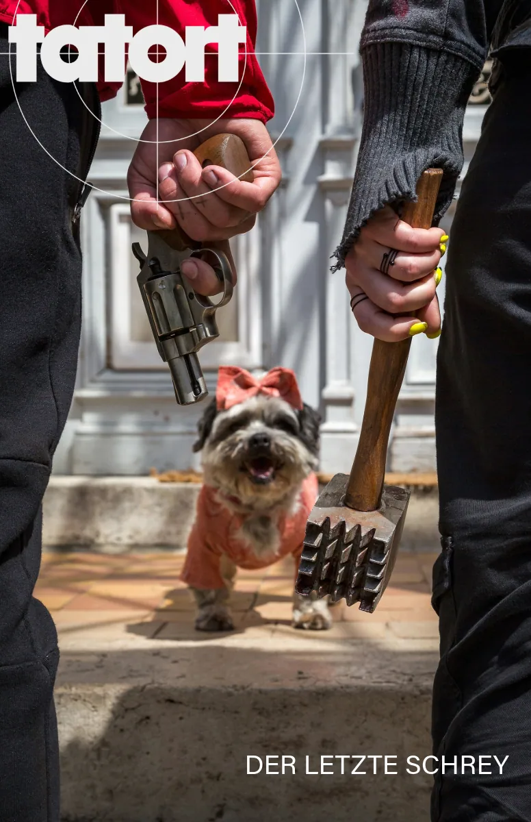 Tatort: Der Letzte Schrey